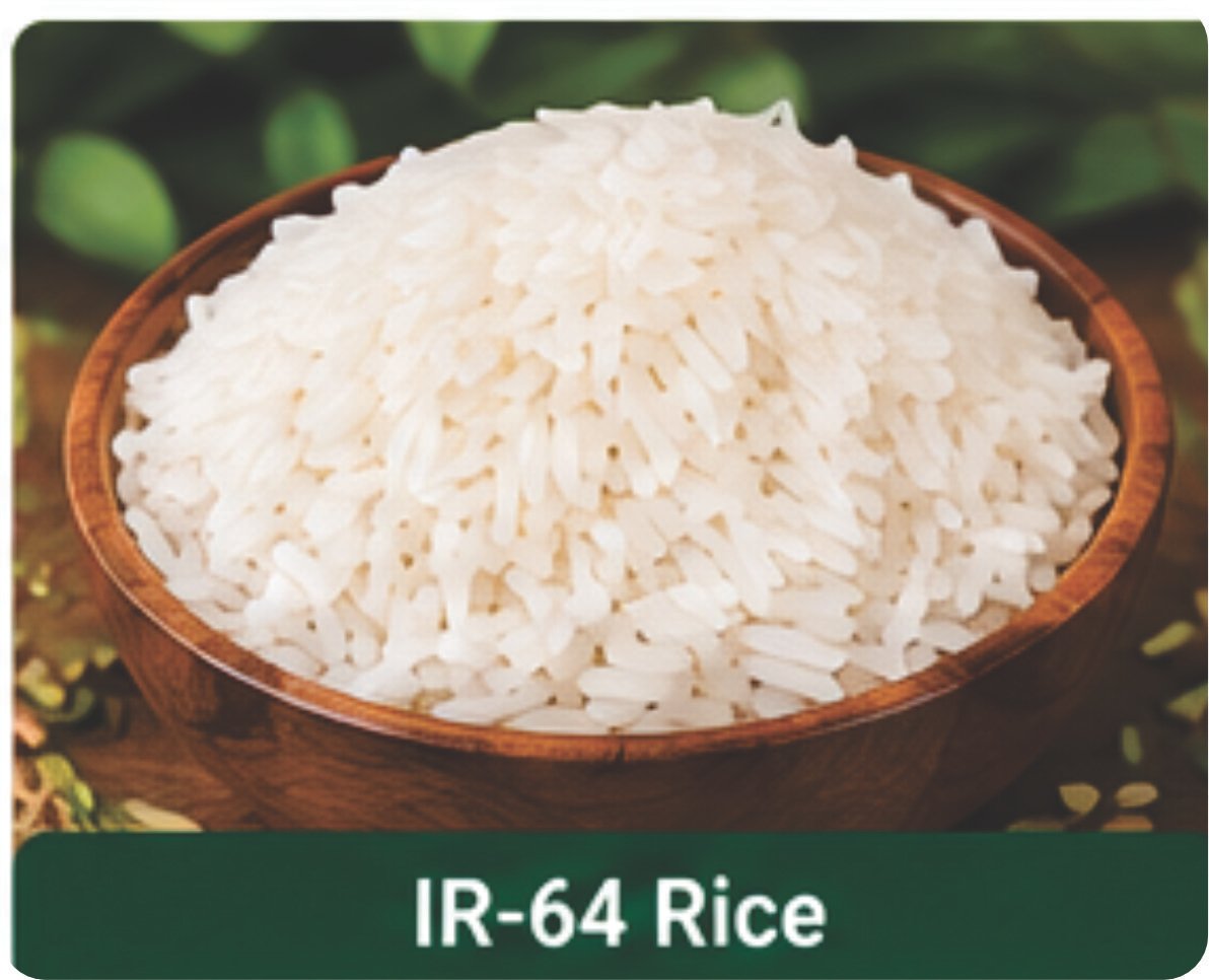 Export Product 10