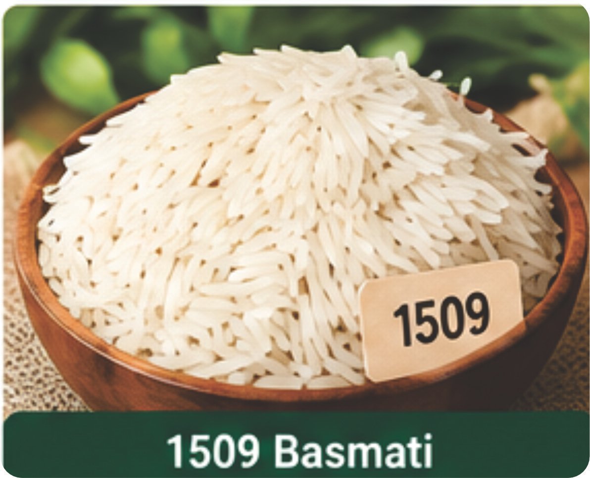 Export Product 3